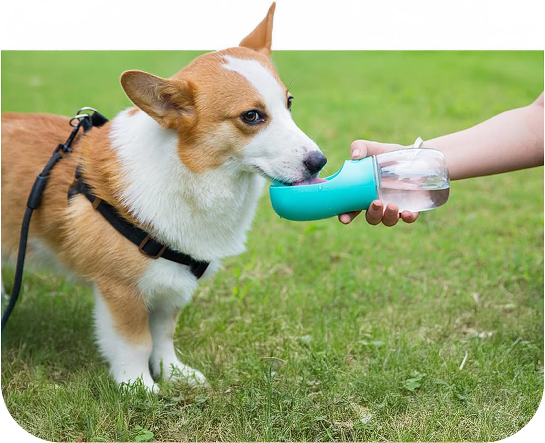 Portable Dog Water Bottle with Bowl – Leak Proof