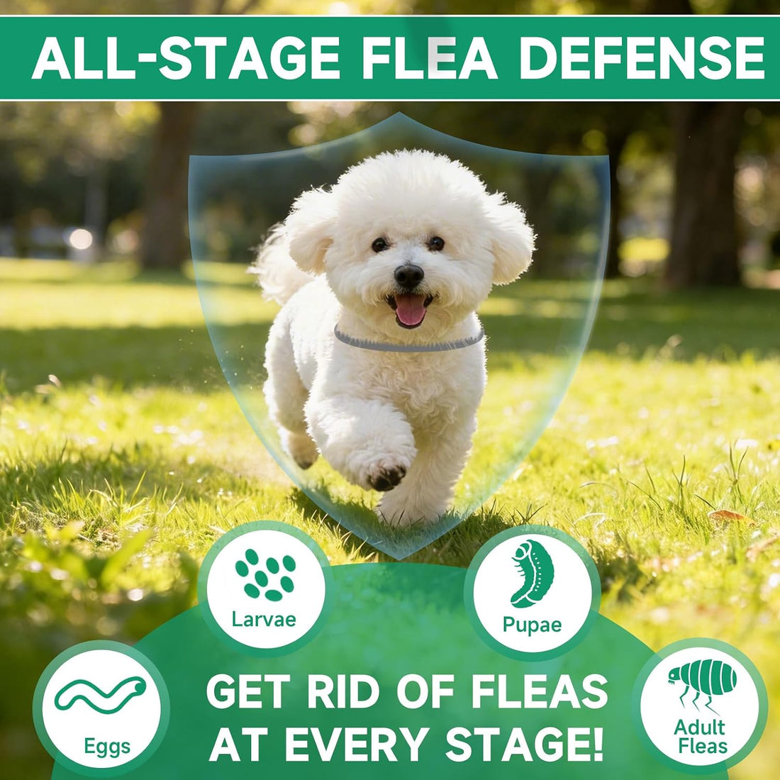 4 Pack Flea Collar for Dogs, 32 Months Flea and Tick Prevention