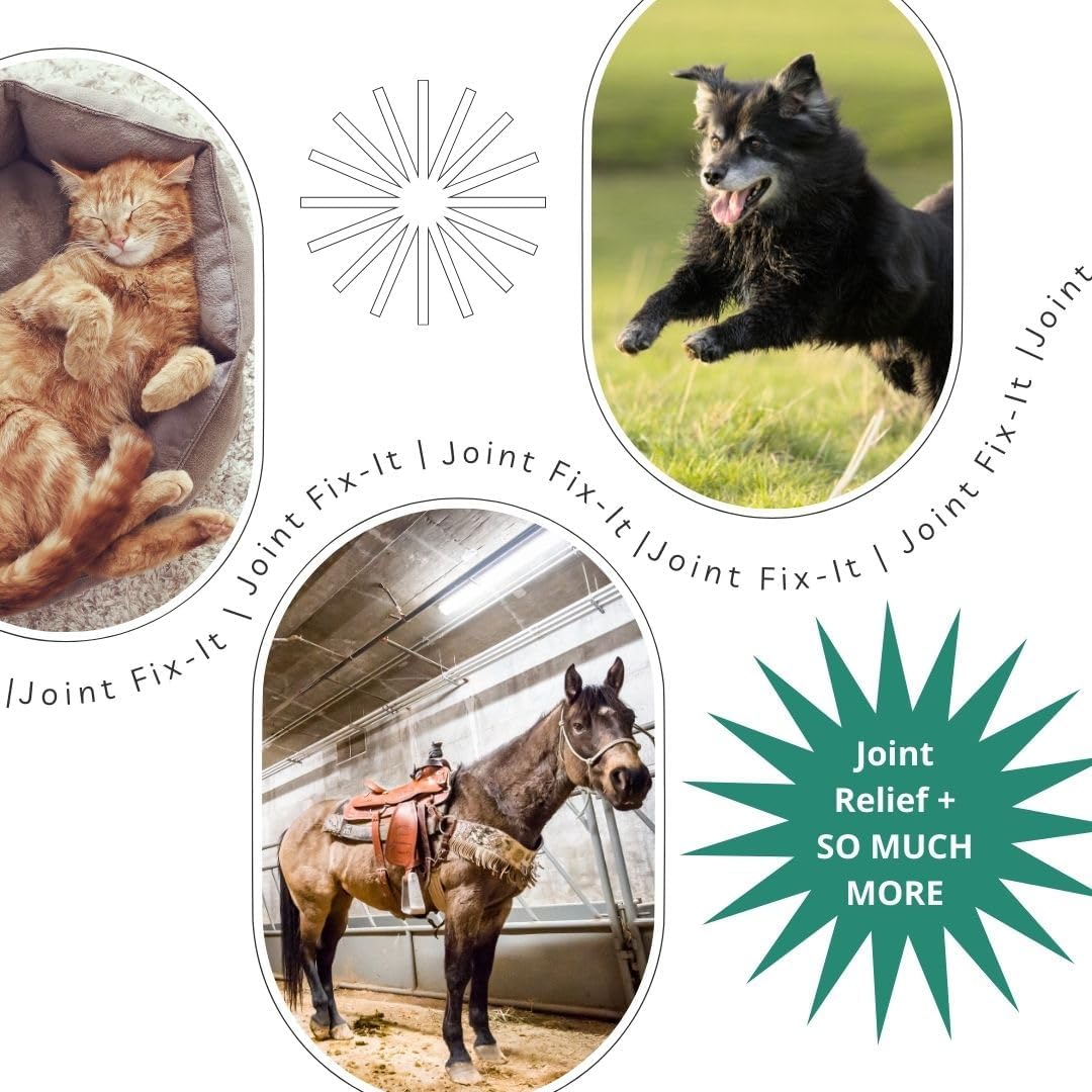 Joint Fix-It Topical Gel for Animals