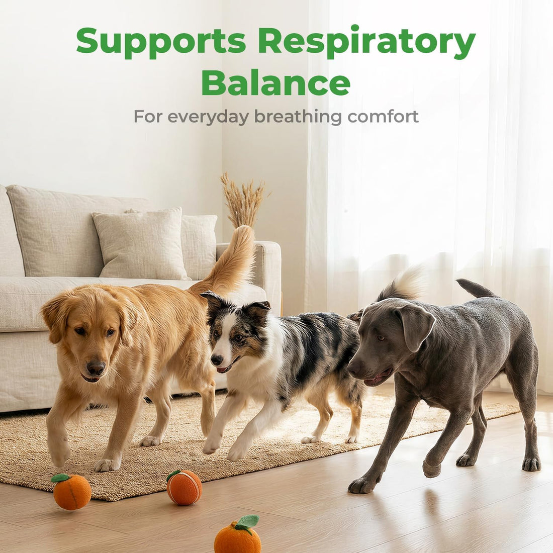 Dog Cough Relief, Collapsed Trachea Treatment for Dogs, Herbal Drops
