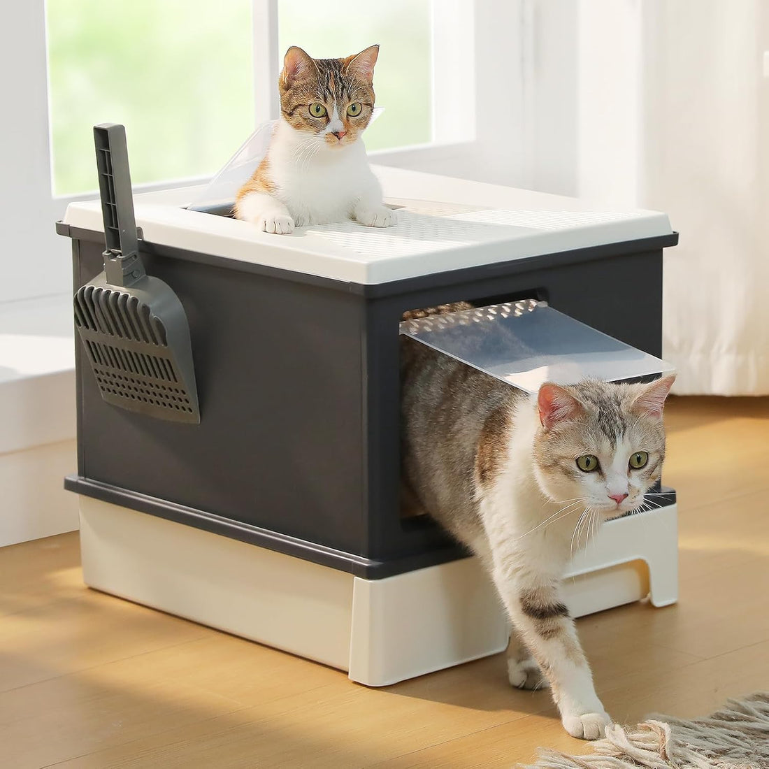PEQULTI 88L Cat Litter Box with Lid