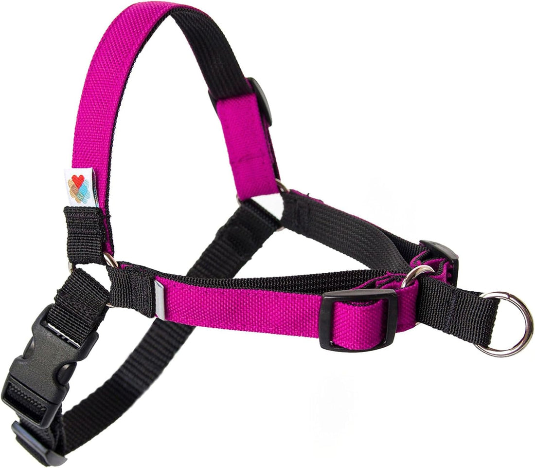 Wildebeest No Pull Dog Harness | Comfortable Training Harnesses