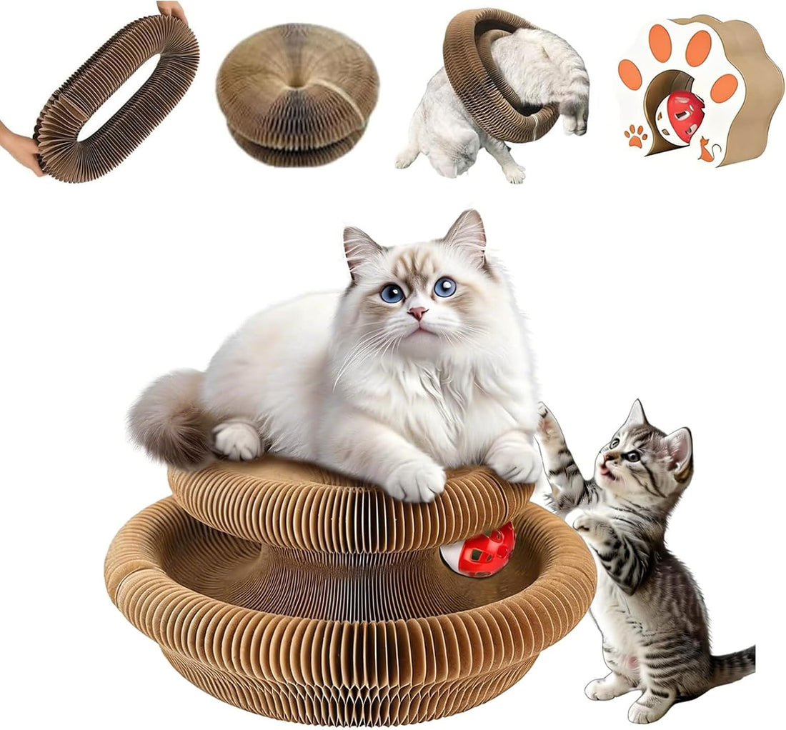 Kitty Curls Cat Toy,Cat Scratcher for Grinding Claw Cardboard Cat Toy