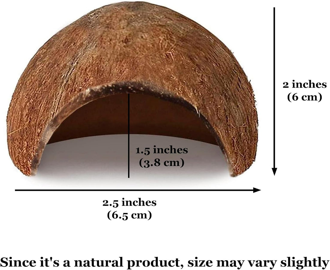 SunGrow Betta Fish Cave, Habitat Made from Coconut Shell