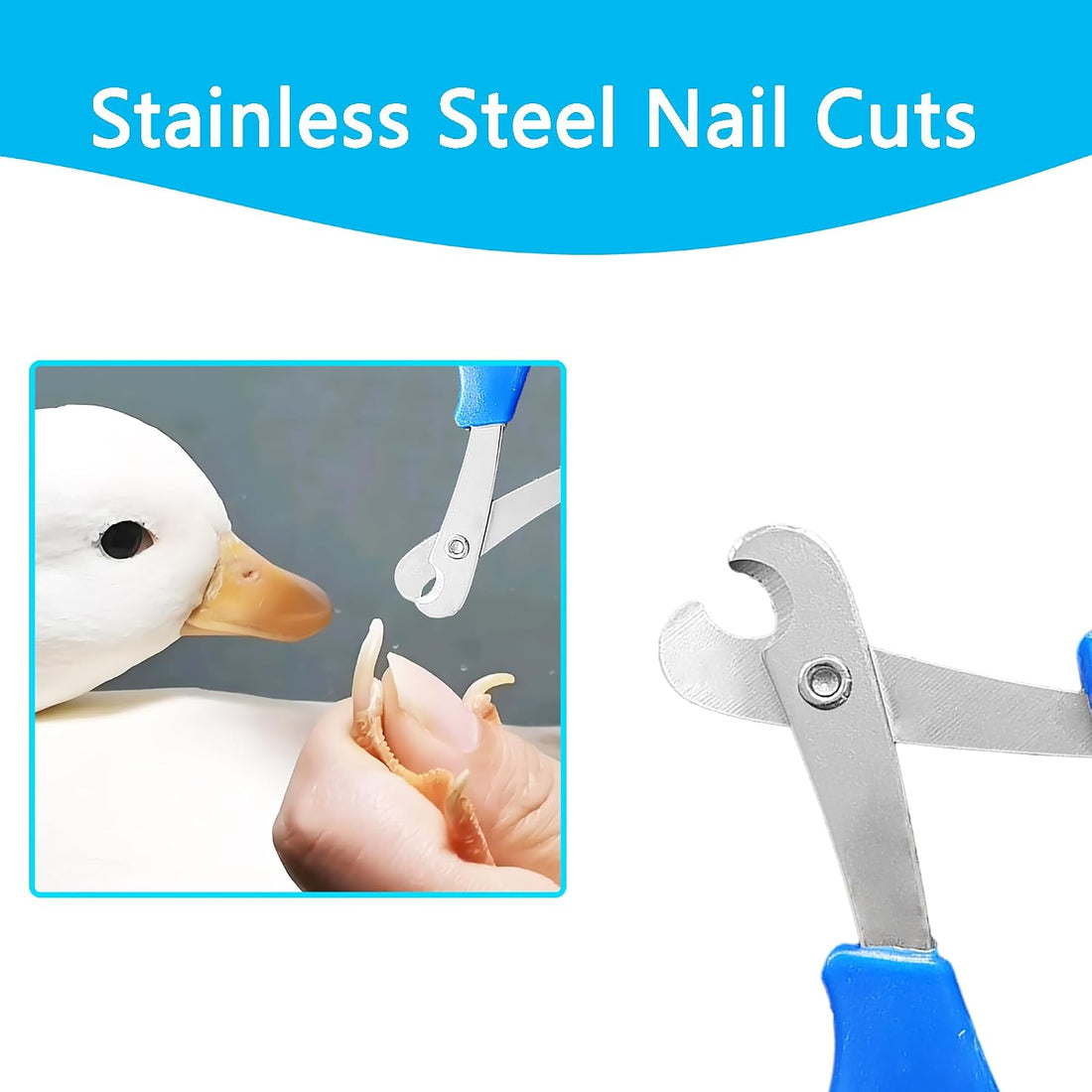 Call Duck Nail Clippers with Nail File，Stainless Steel Call Duck