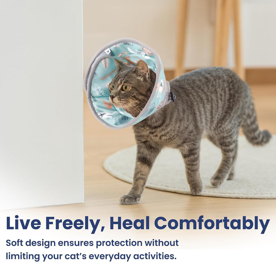 PawsPik Adjustable Soft Recovery Cone for Dogs & Cats, Small