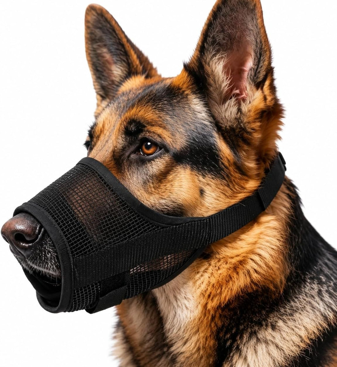 Dog Muzzle, Breathable Soft Mesh Adjustable Muzzle for Medium & Large
