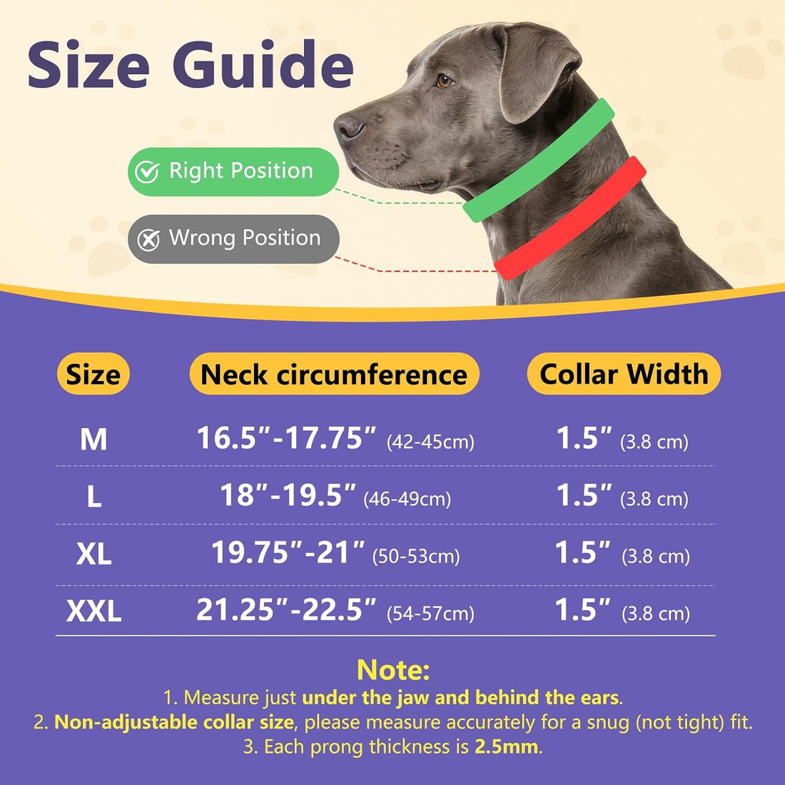 Crazy Felix No Pull Dog Collar