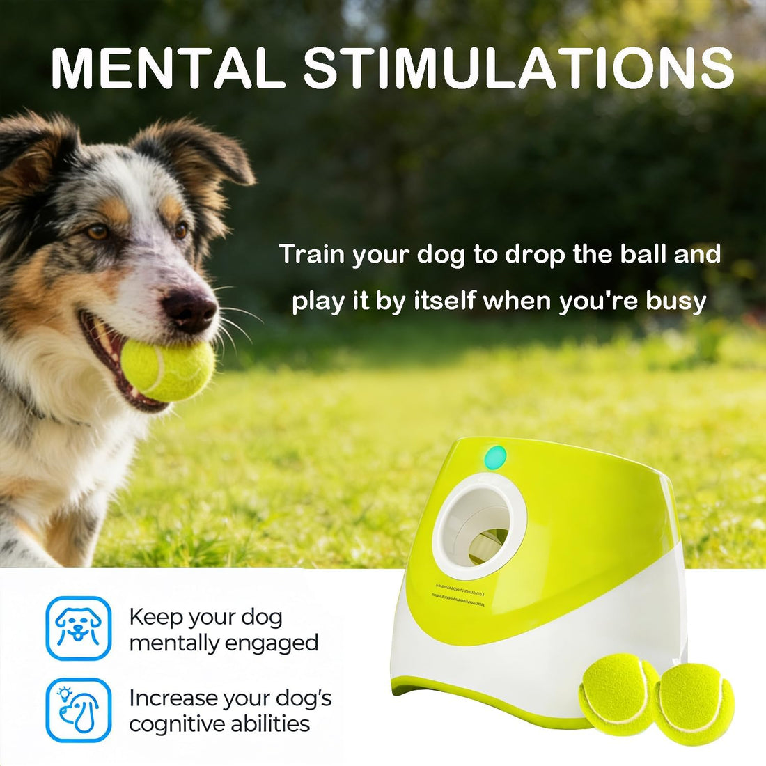 OYE Dog Ball Launcher, Automatic Balls Thrower with 6 Balls for Dog