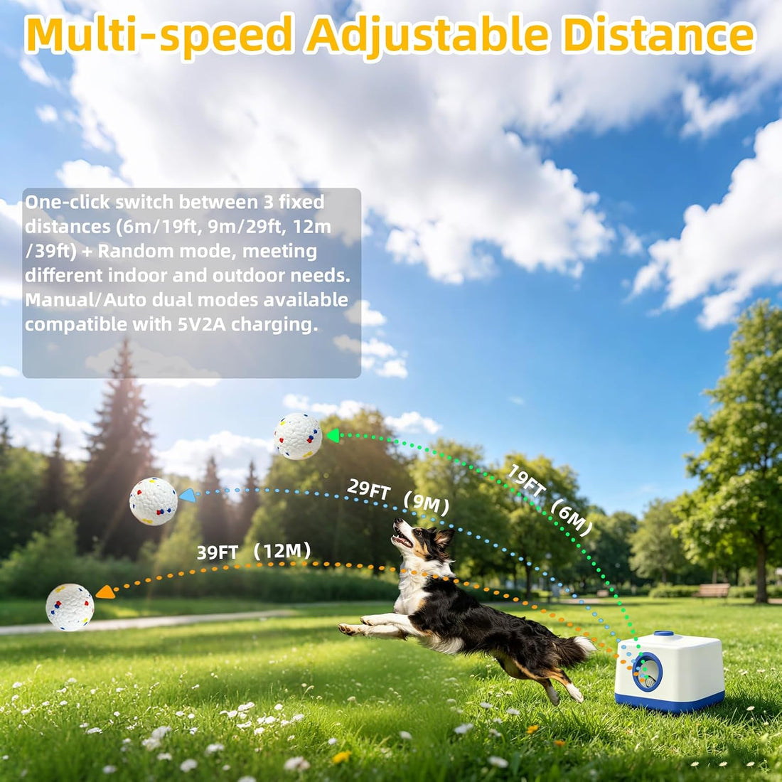Ball Launcher for Dogs Indoor Automatic Small Dog Fetch Machine 3