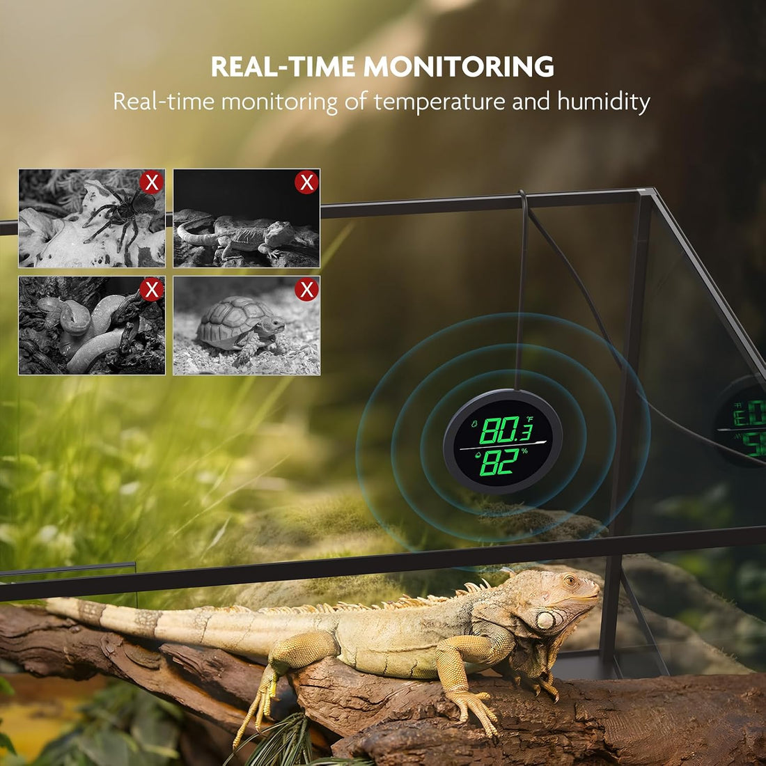 PAIZOO Real-time Display LED Digital Reptile Thermometer and Humidity