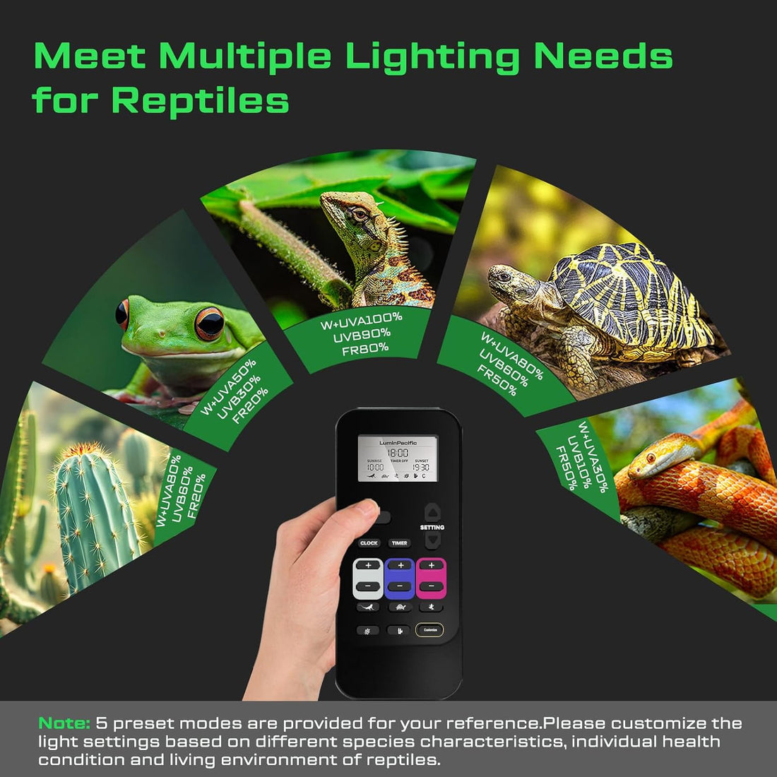 2 Pack UVB Reptile Lights with Remote, UVA UVB Light with Timer