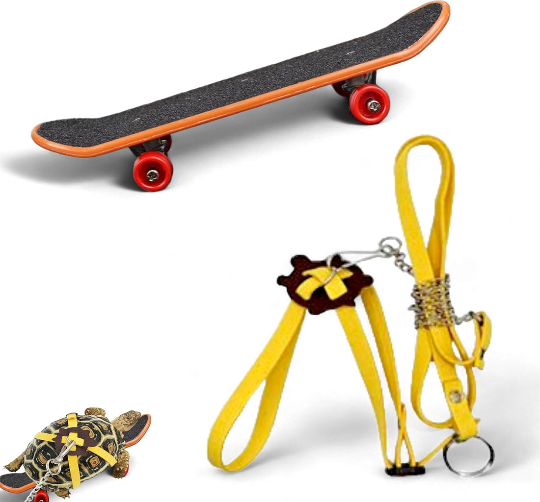 Adjustable Tortoise Leash and Funny Skateboard Set