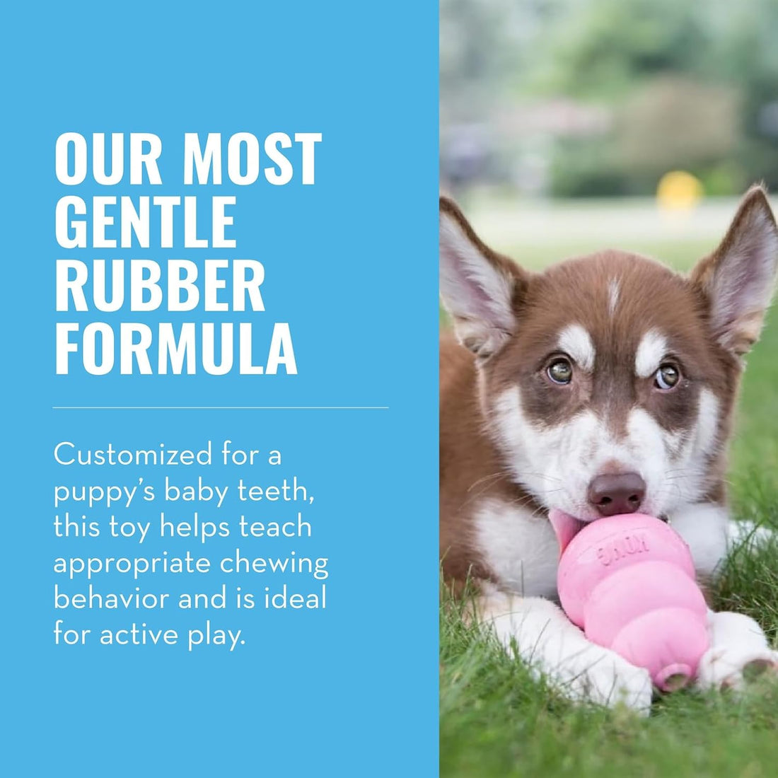 KONG - Puppy Toy Natural Teething Rubber - Fun to Chew