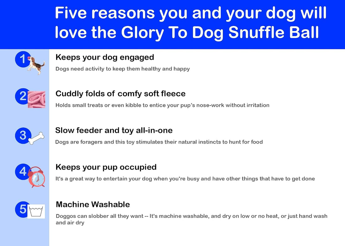 Glory To Dog Puppy and Small Breed Snuffle Interactive Foraging Dog