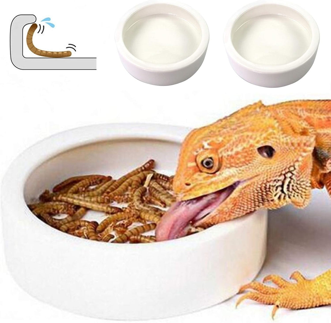 Reptile Food Dish Bowl 2Pcs Lizard Gecko Worm Water Bowls Small