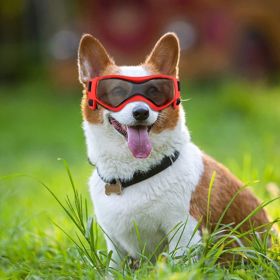 QUMY Dog Goggles Small Medium Breed Dog Sunglasses UV Protection