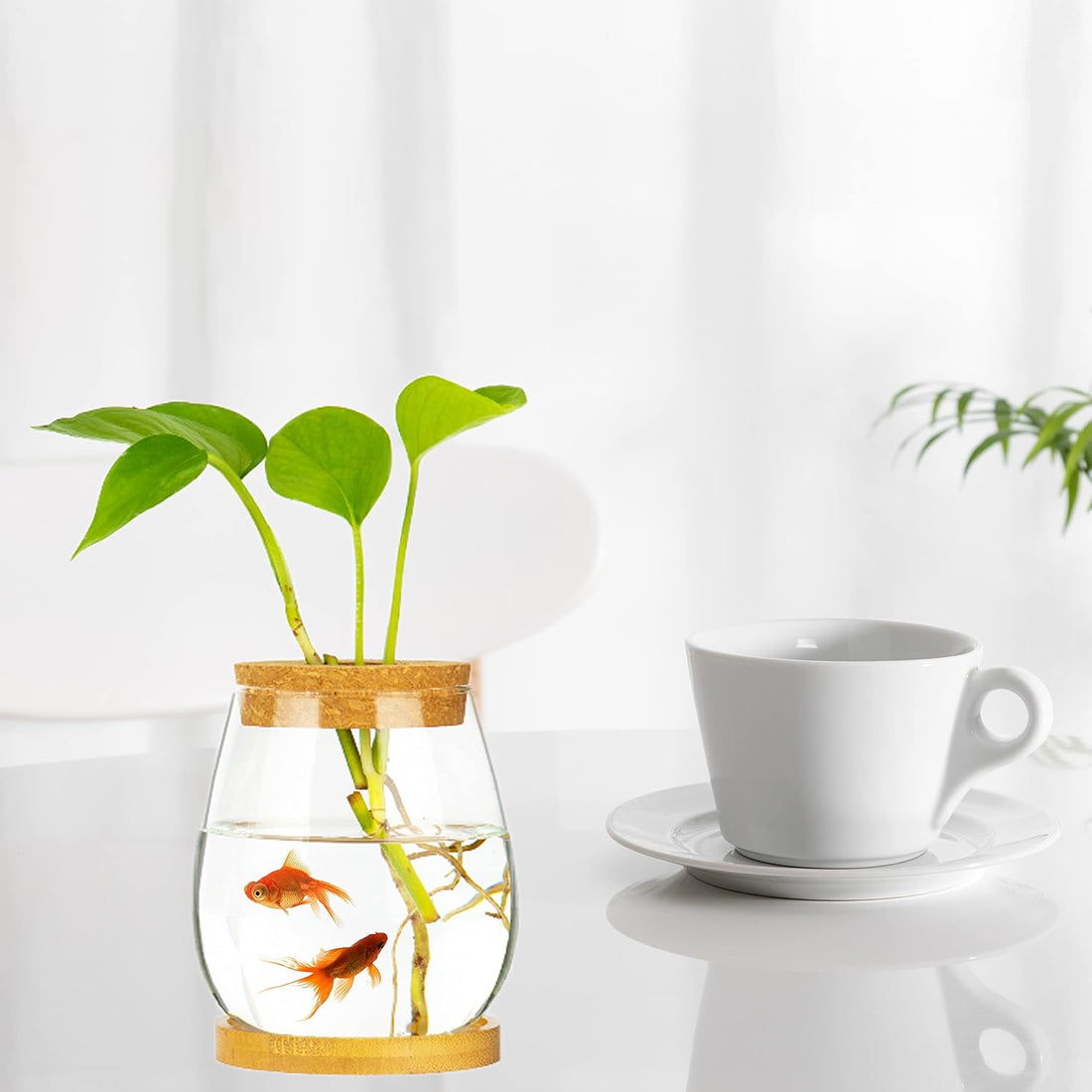 Desktop Fish Bowl Clear Glass Small Fish Tank with Wood Lid