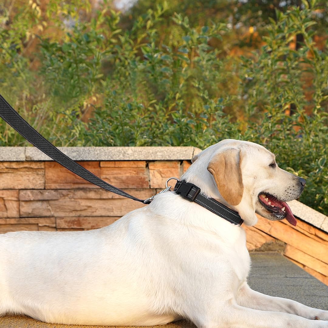 PenSeepet Dog Leash 6 FT Padded Handle Nylon Reflective Dogs Leashes