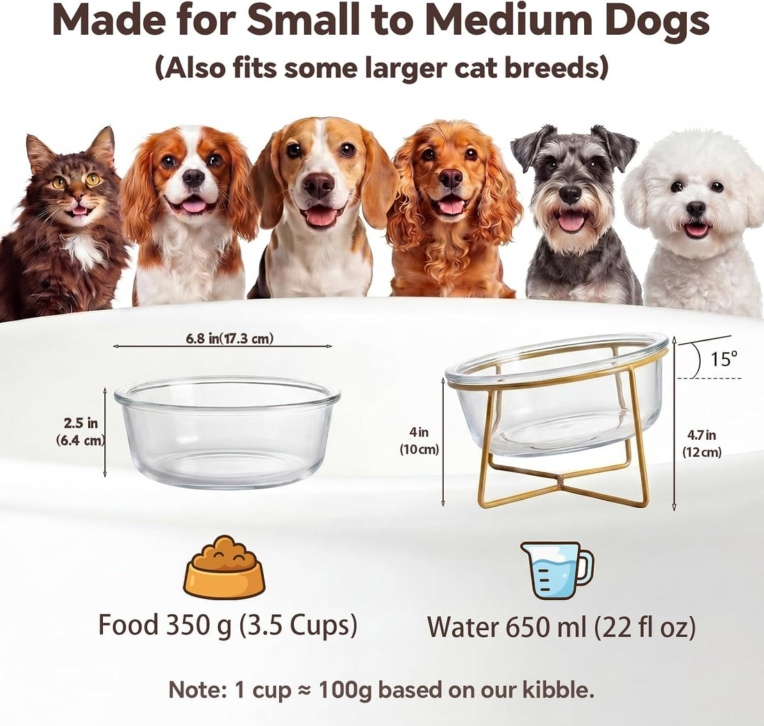 Large Glass Tilted Elevated Cat Dog Bowl Raised Cat Food Water Bowl
