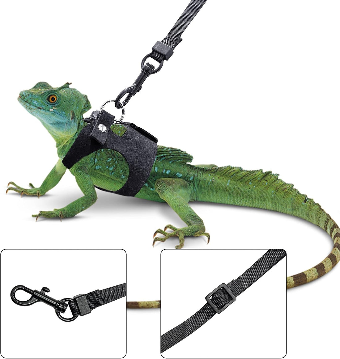 3PCS Bearded Dragon Harness and Leash Set