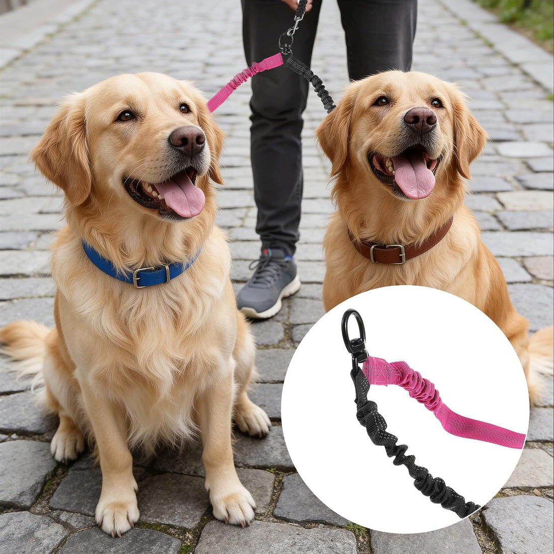 Double Dog Leash, 360° Swivel No Tangle Dual Lead for Two Size Dog