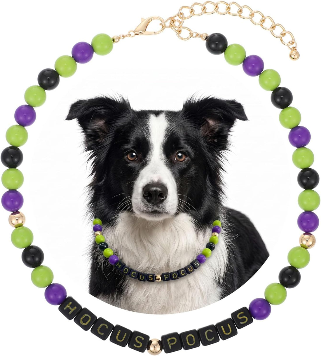 Halloween Beaded Pet Necklace Collar Dog Cat Holiday Costume Collar