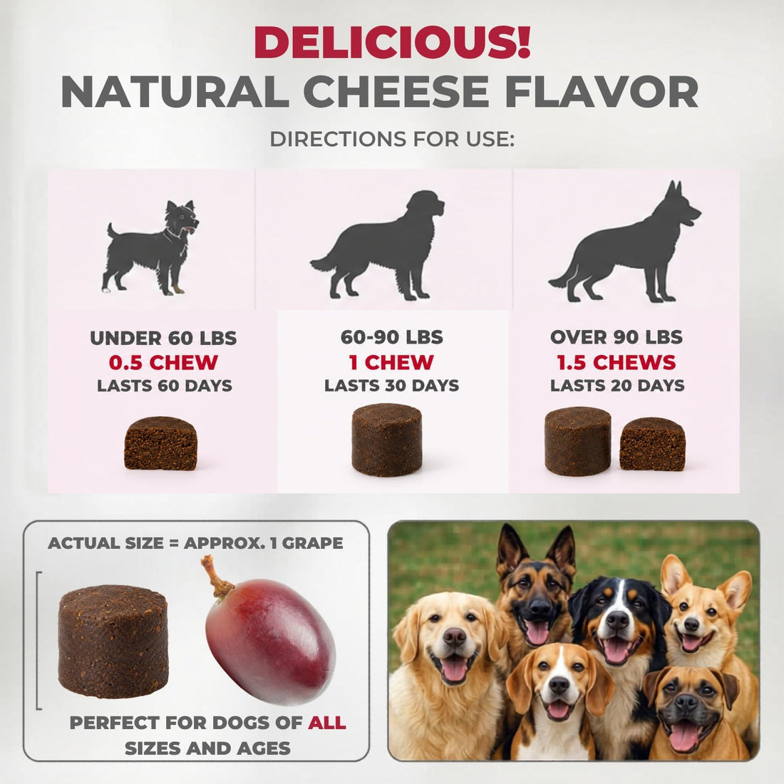 Mighty Petz MAX Cranberry for Dog UTI Treatment