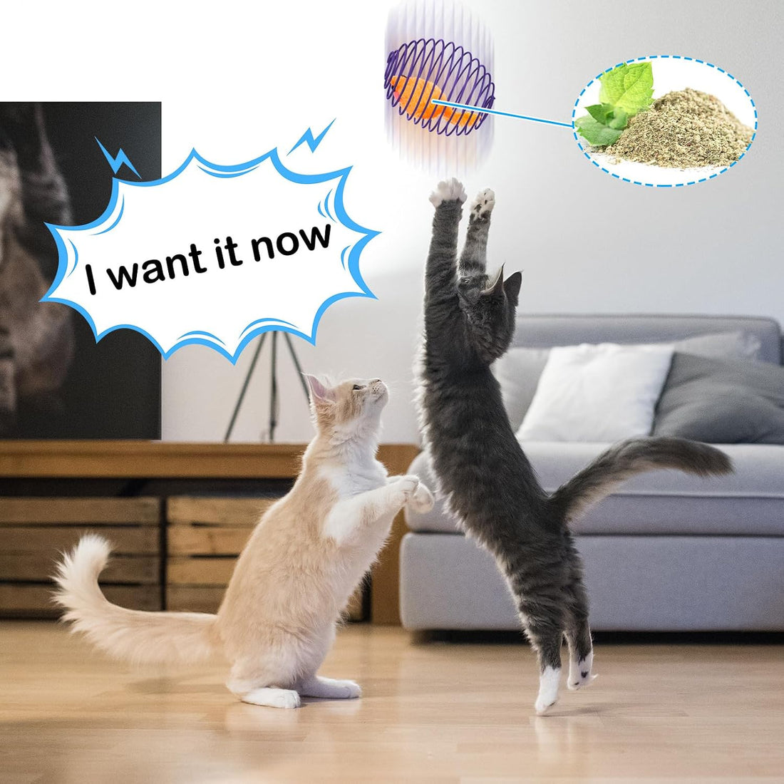 Jecery 5 Pcs Cat Toys Spring