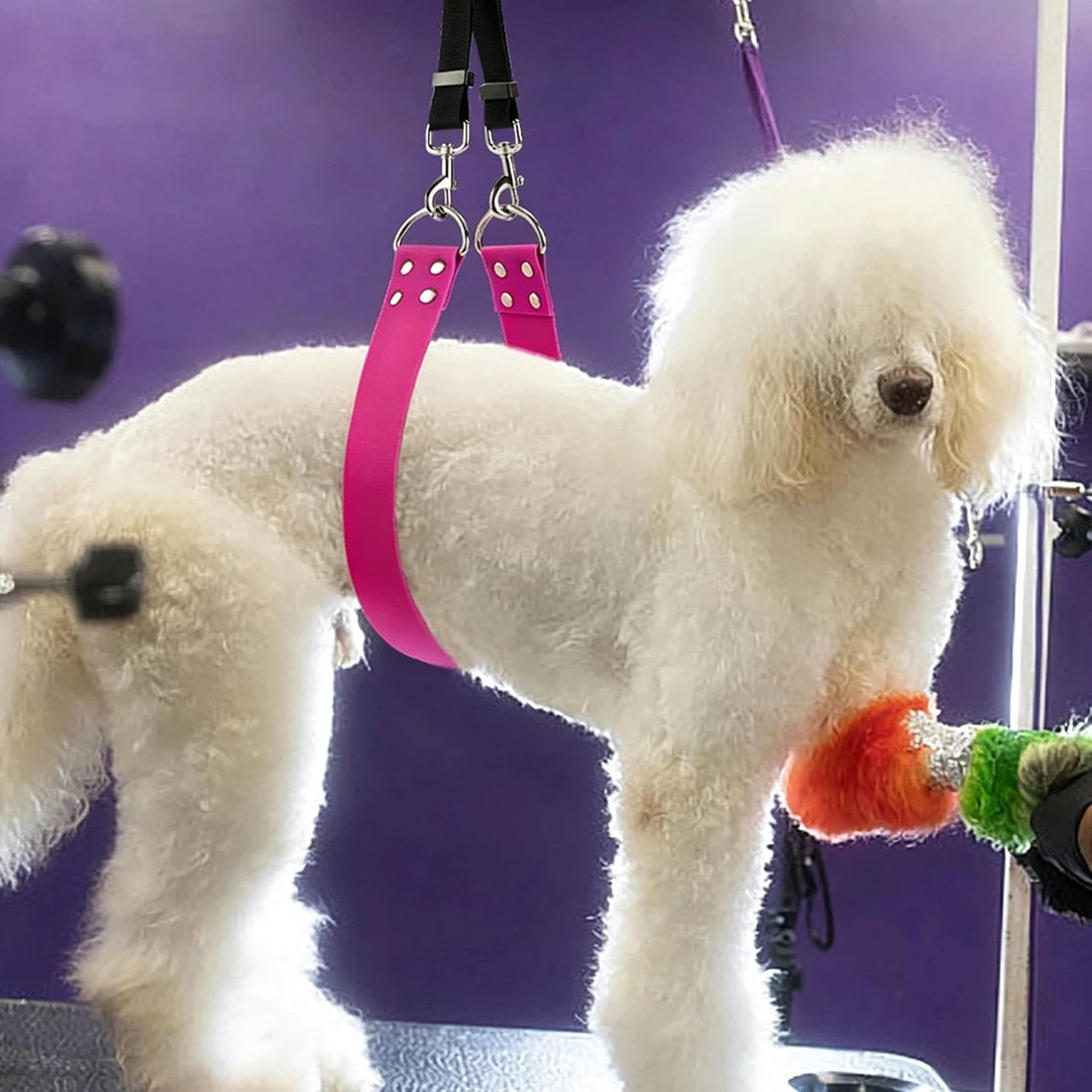 Dog Grooming Belly Band - Pet Grooming Belly Straps Pink Groomer
