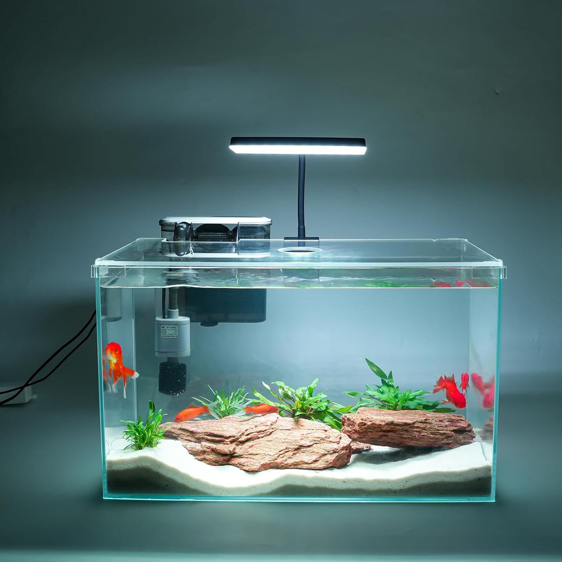 Vimvins 3 Gallon Glass Small Fish Tank