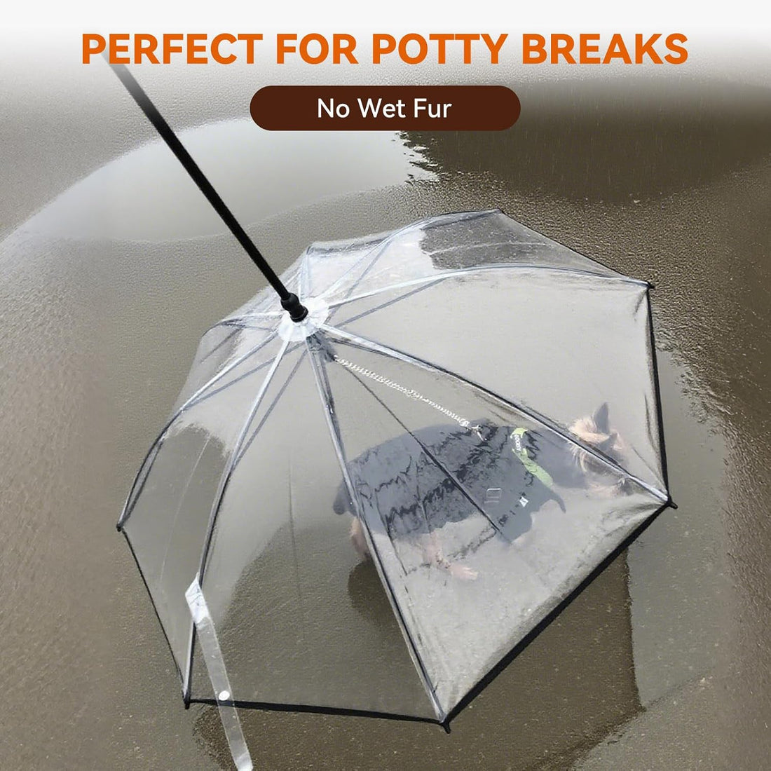 Clear Dog Umbrella for Small Dogs, Doggie Umbrella with Leash