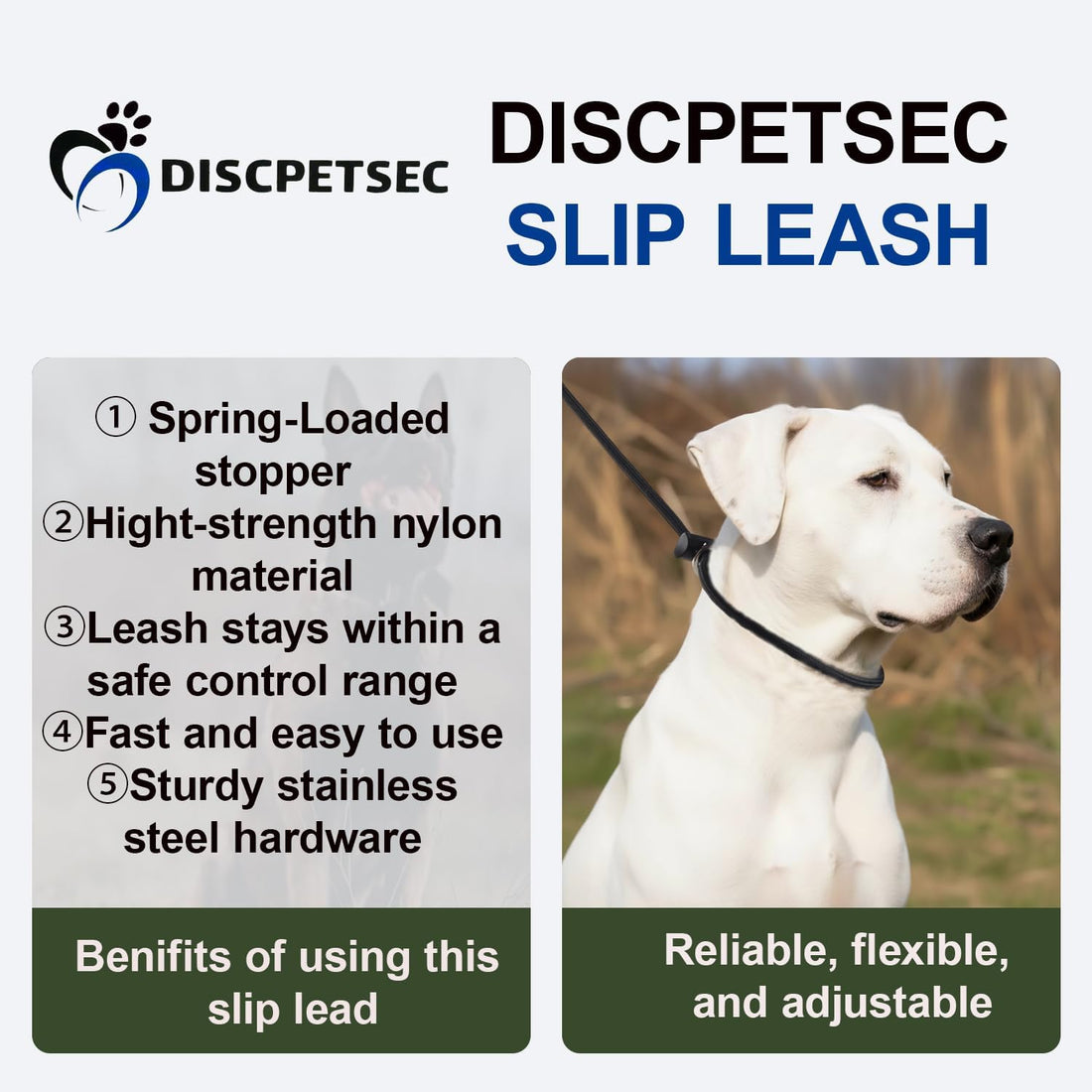 Slip Lead Dog Leash 6ft Dog Training Leads 1/4” Nylon Rope Pet Lead