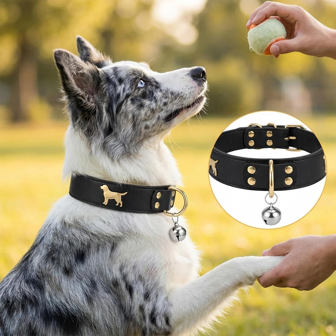 8 Pcs Collar Bells for Small Dogs Cat