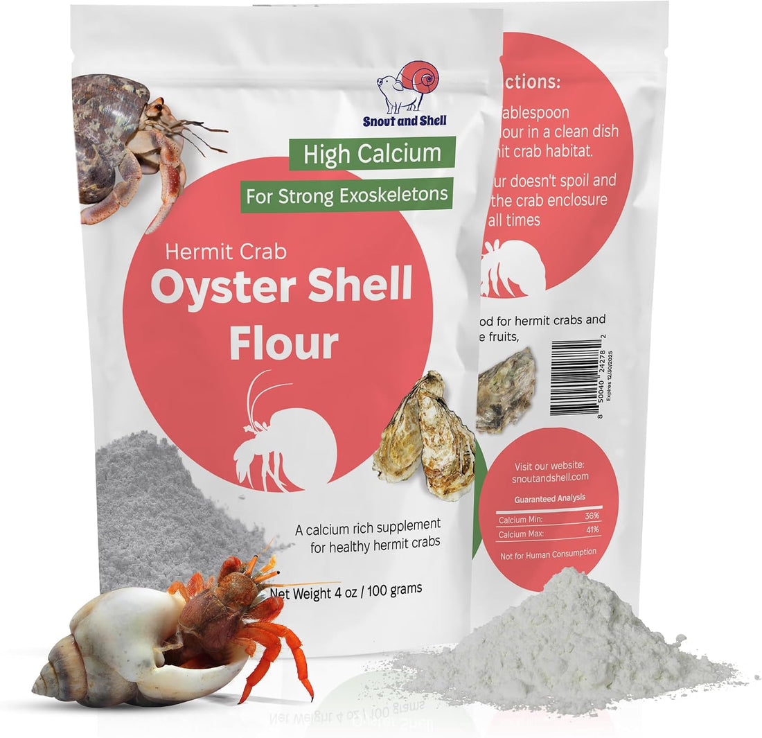 Oyster Shell Supplement for Hermit Crabs