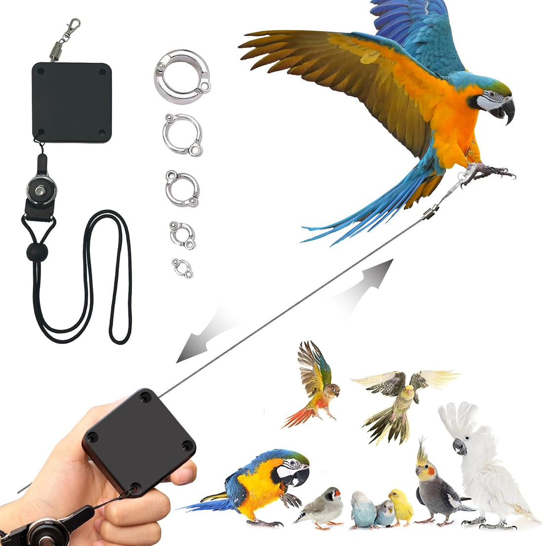 Retractable Bird Leash,Parrot Flying Rope,Anti-Bite Wire Rope Parrot