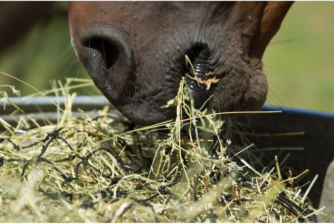 Hay Chix 2-Strand Bale Slow Feed Hay Net for Horses