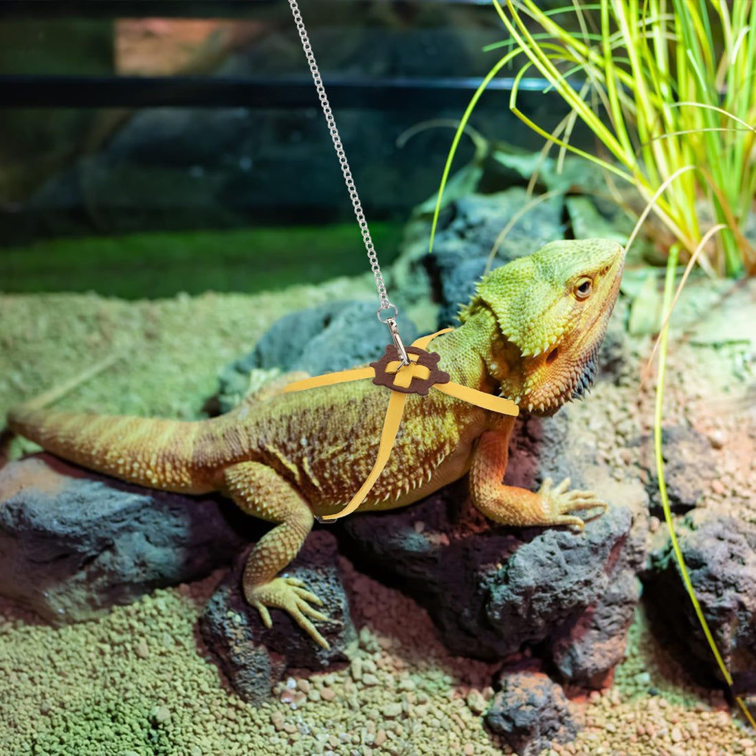 2 Pack Adjustable Reptile Harness and Leash for Lizard Gecko Bearded