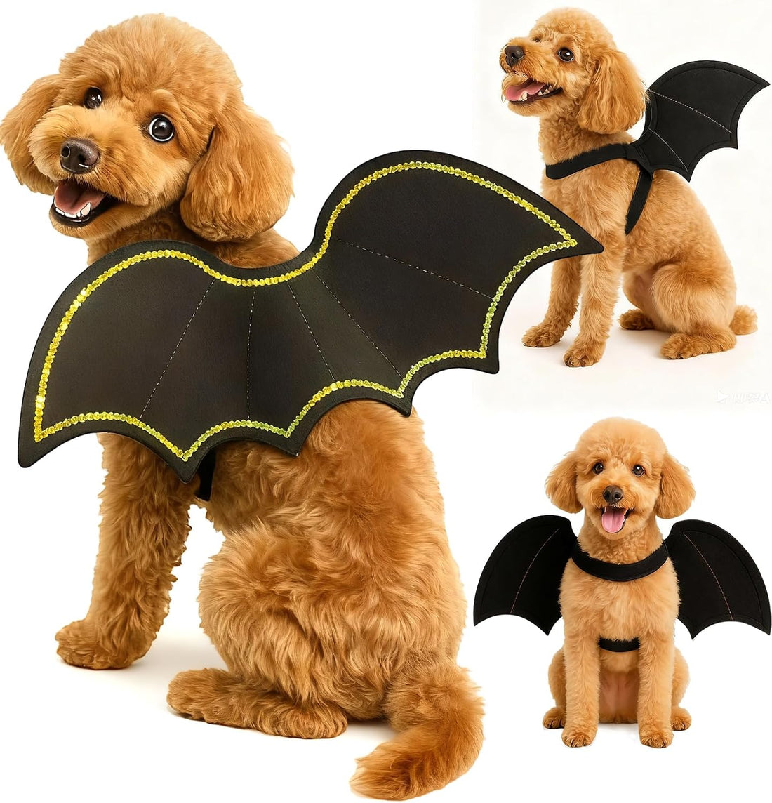 Halloween Cat Bat Wings with Mask Costume
