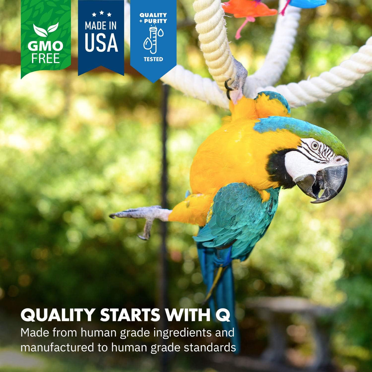 Equa Holistics HealthyGut™ Avian Probiotics Dietary Supplement