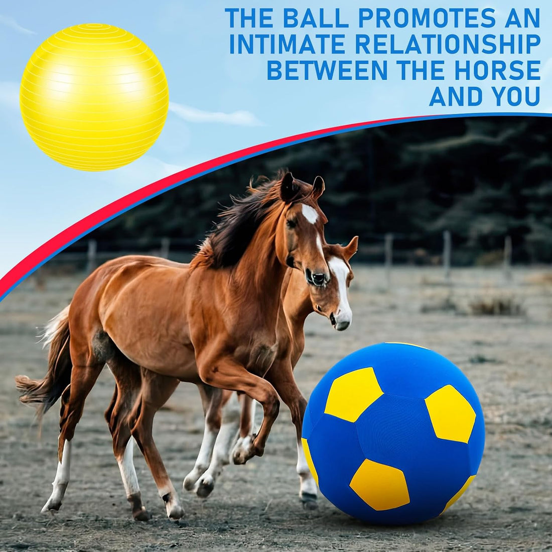 2 Set Giant 40" Herding Ball for Horses with Covers