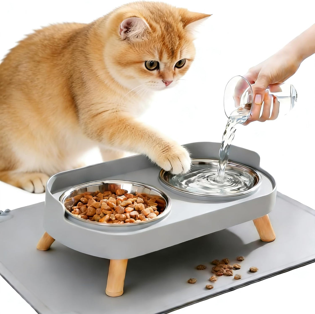 Elevated Cat Bowls, Raised Cats Food and Water Bowl Set for Indoor