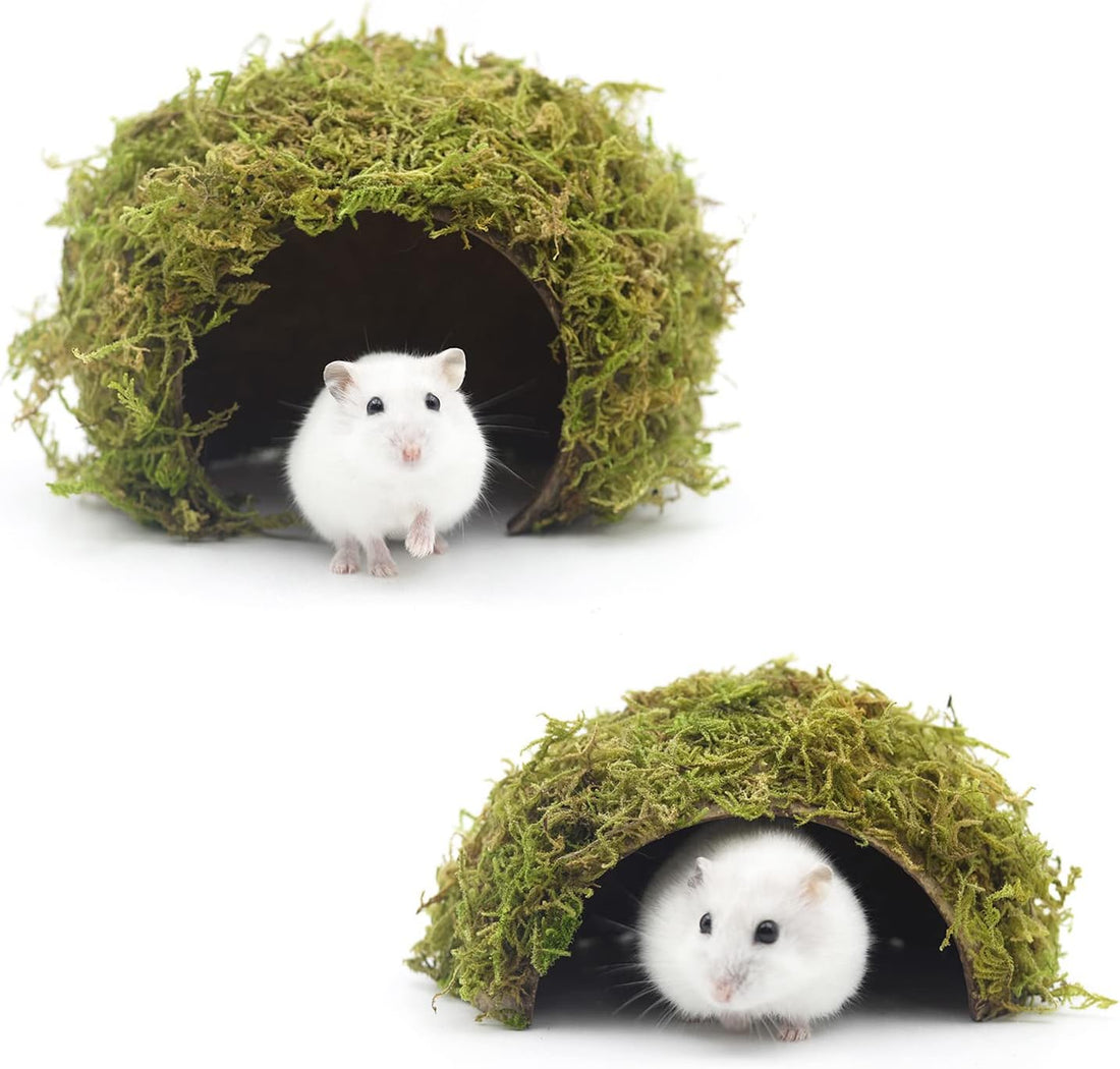 Hamster Hideout - Large, Natural Moss, Handcrafted for Syrian Hamsters