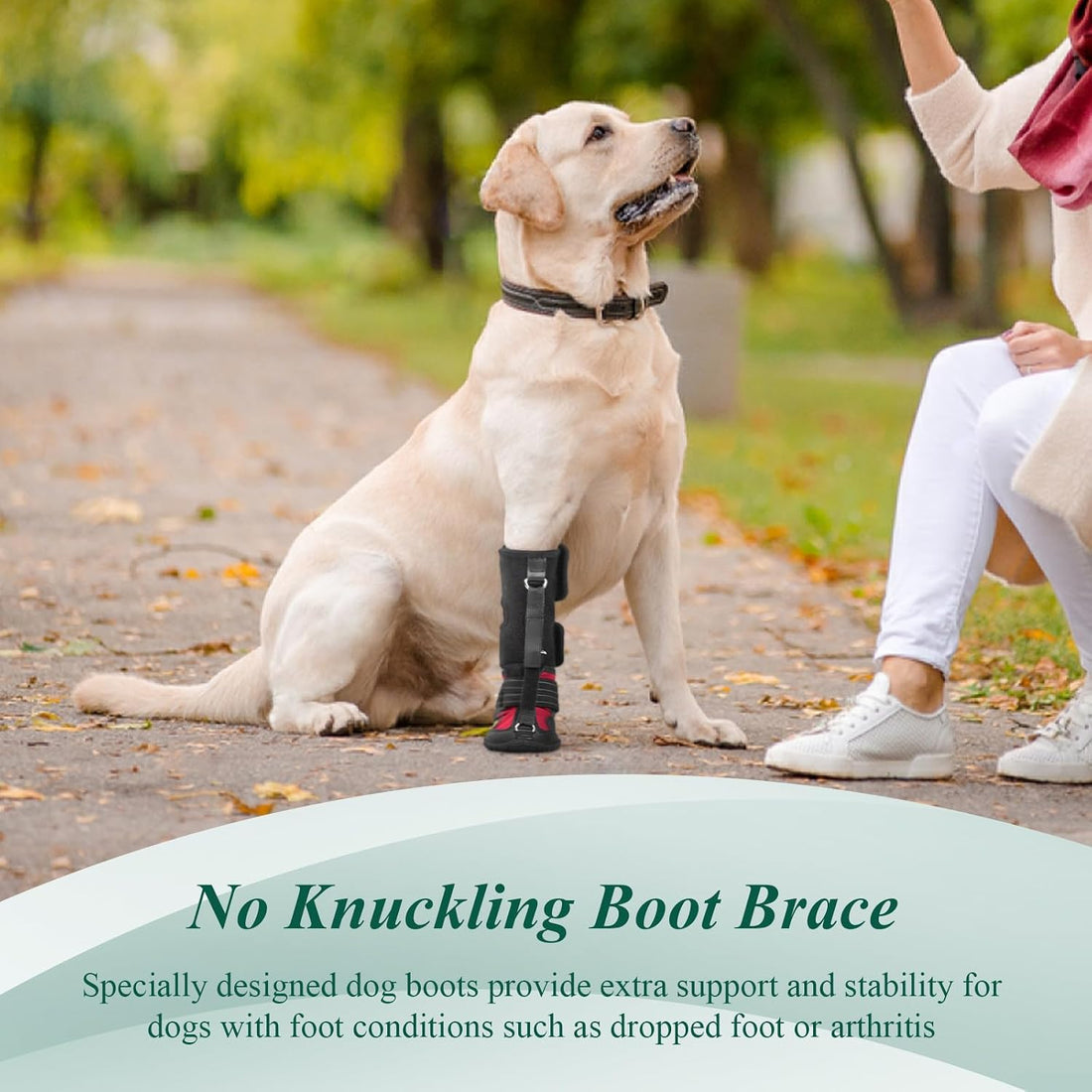 Strap-On Drop Foot Brace (No Knuckling Boot Brace) for Dogs, M