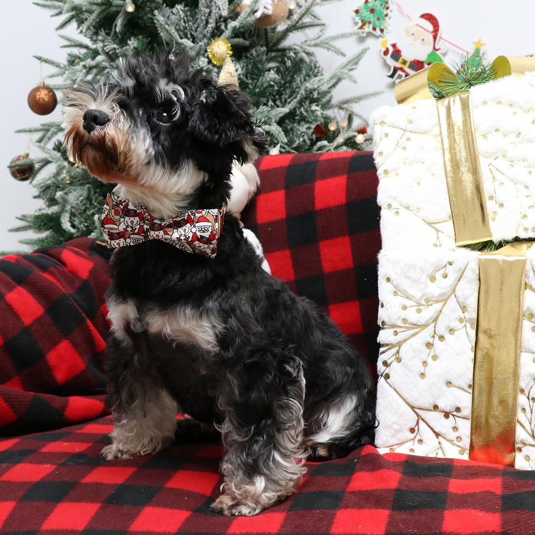 Lionet Paws Christmas Dog Bowtie Collar