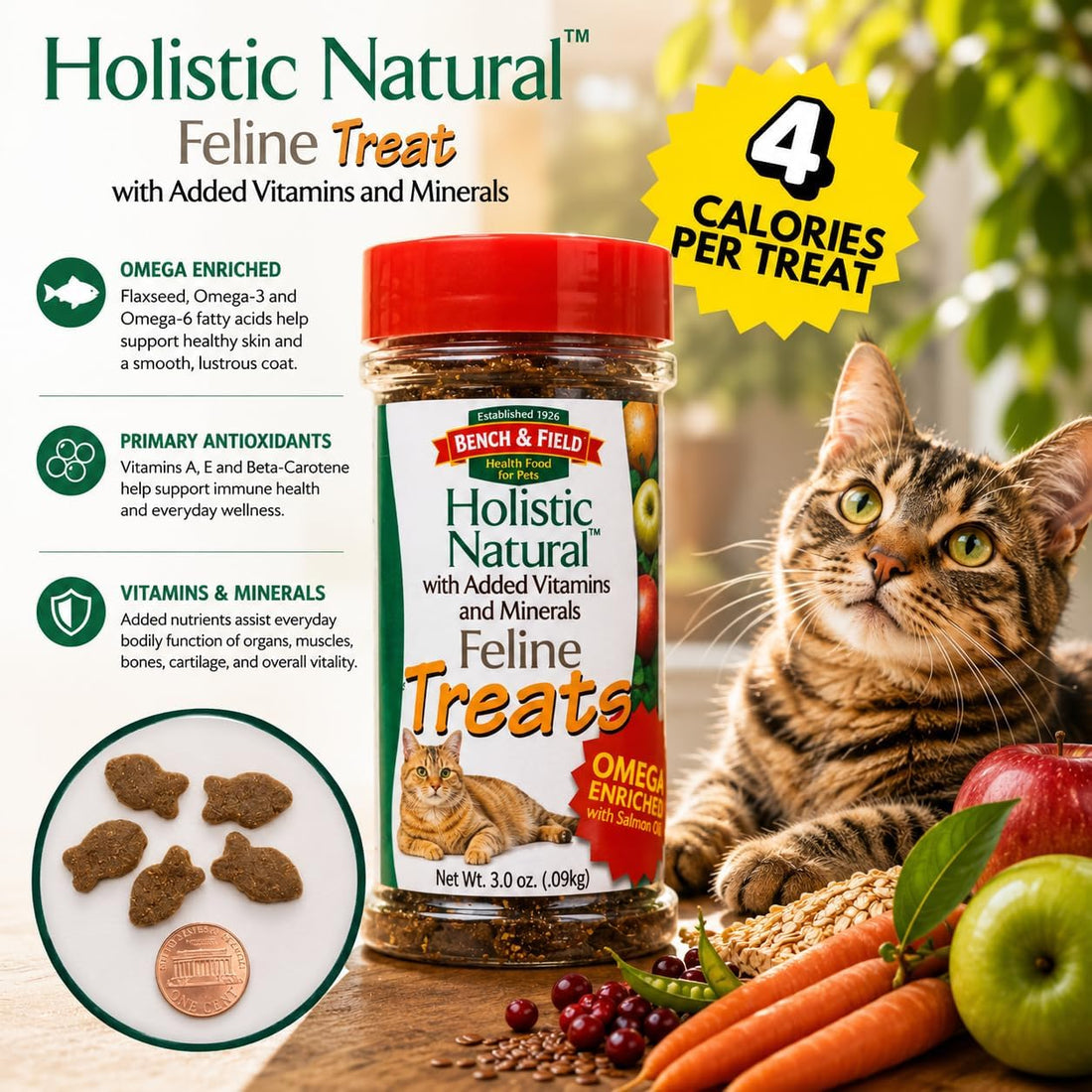 Bench & Field Holistic Natural Healthy Kitty Cat Treats