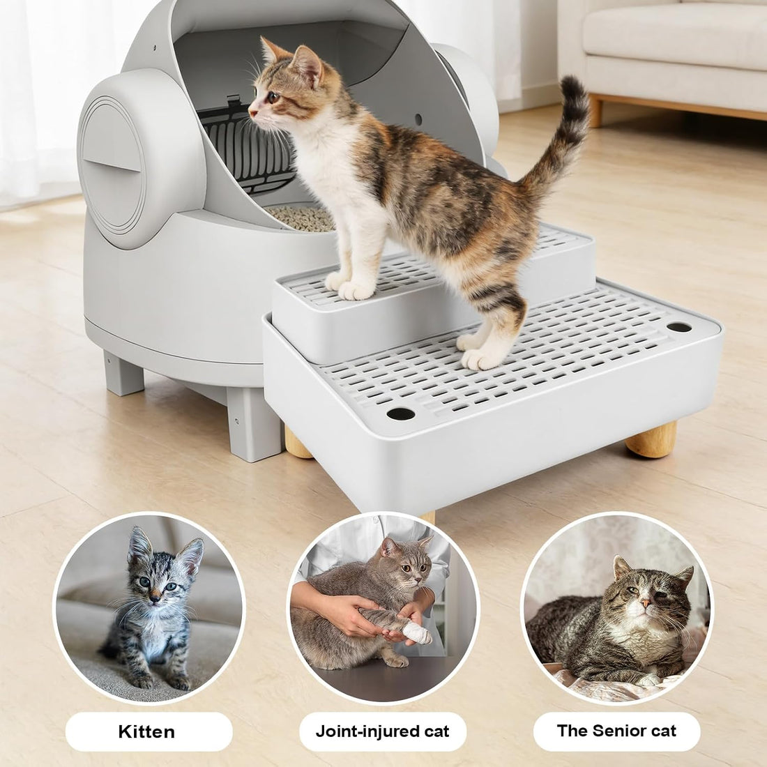 Adjustable 2 Steps Litter Box Ramp