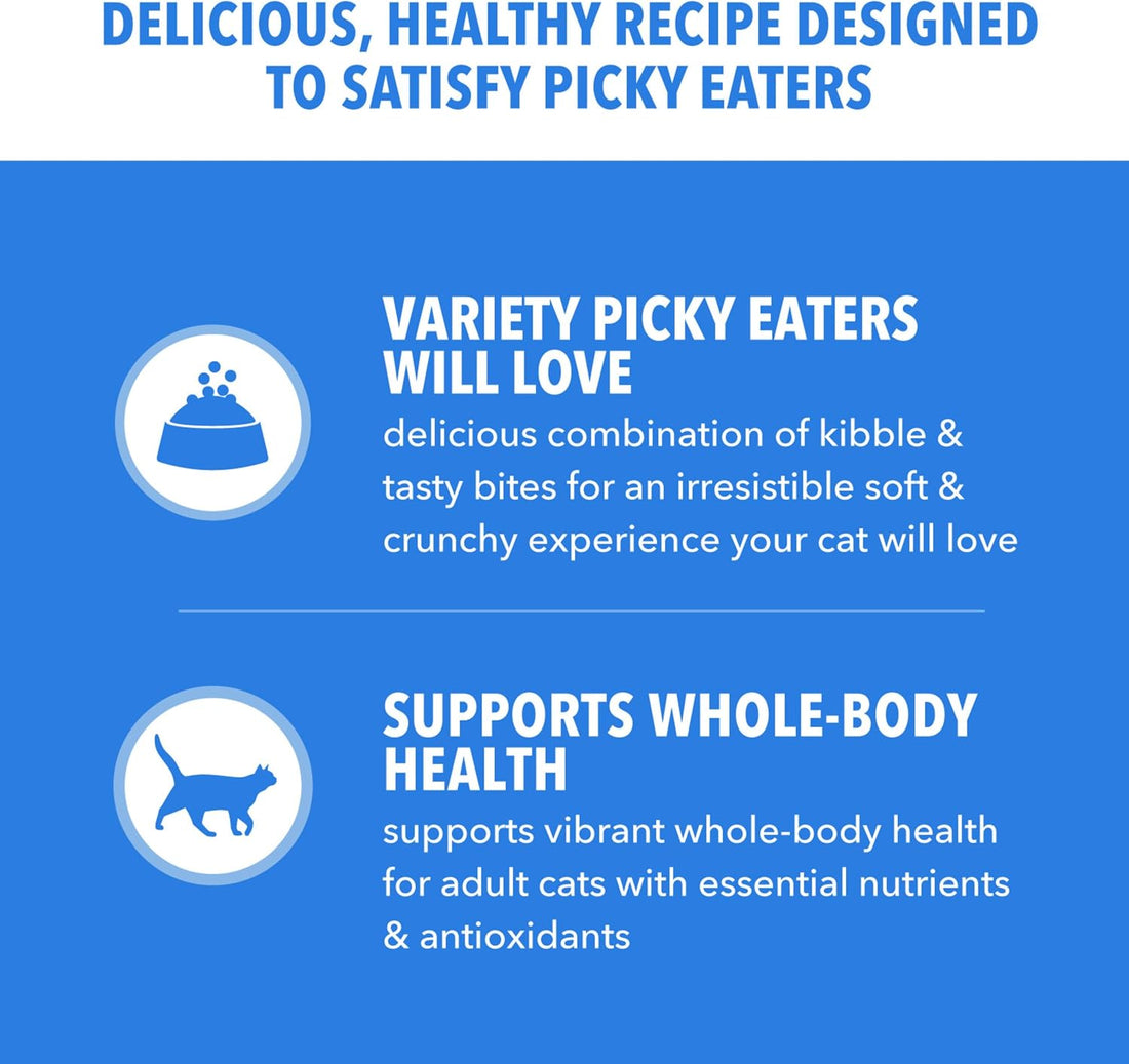 IAMS Healthy Enjoyment Dry Cat Food, Chicken & Salmon Recipe, 3 lb