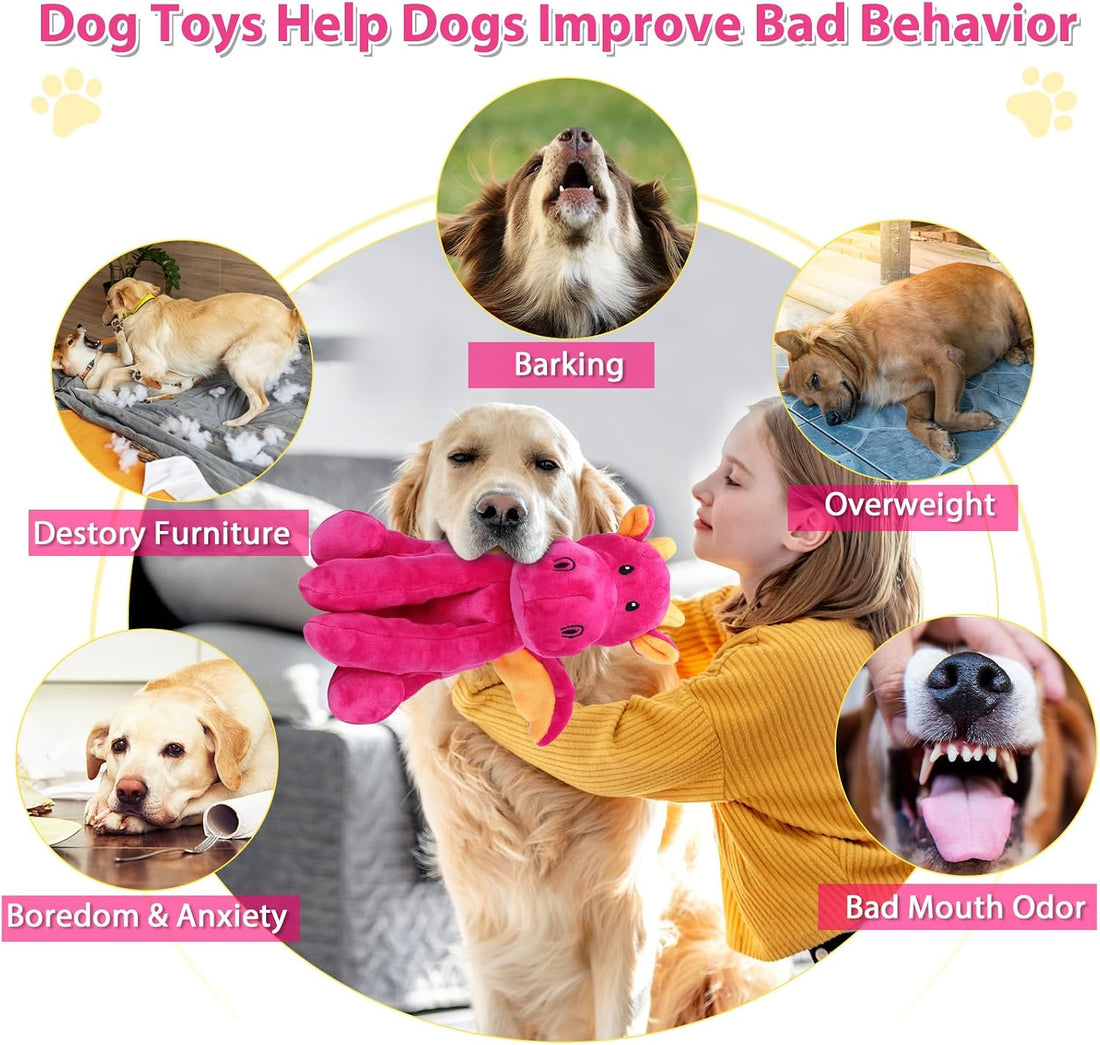 Letsmeet Dog Toys for Large Plush Dog Chew Toy with Squeaker