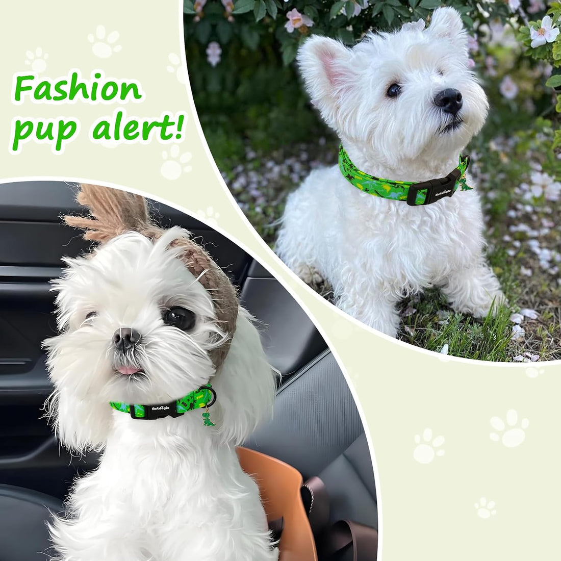 Medium Dog Collars for Male Dogs